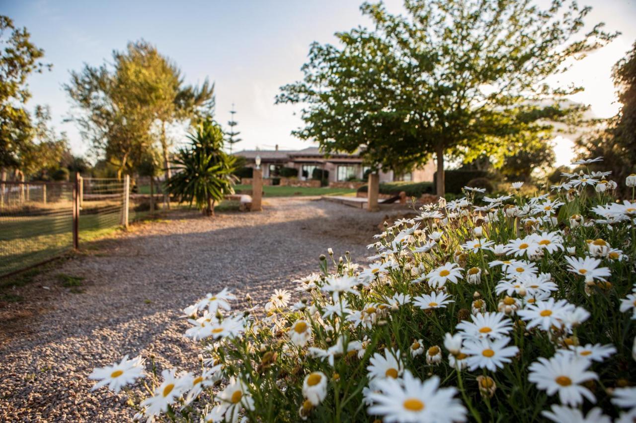 Agroturismo Can Pere Rei Son Serra de Marina Exterior photo